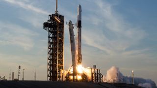 A SpaceX Falcon 9 rocket carrying the company’s Dragon spacecraft launches NASA’s SpaceX Crew-10 mission to the International Space Station on March 14, 2025.