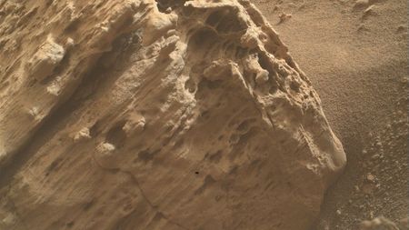 a mottled reddish-orange rock on a dusty surface of the same color