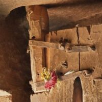 Offerings made to Roman goddess Cardea