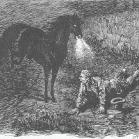 Traditional drawing of the Irish spirit Puca