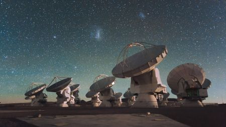 a dozen large round radio antenna dishes point upwards into a starry night sky
