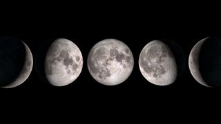 A NASA graphic showcasing the phases of the moon.
